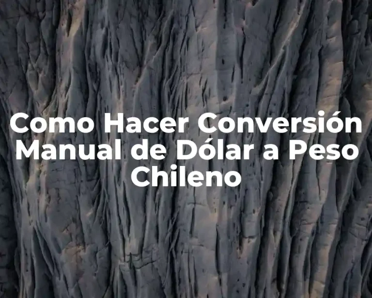 Como Hacer Conversión Manual de Dólar a Peso Chileno