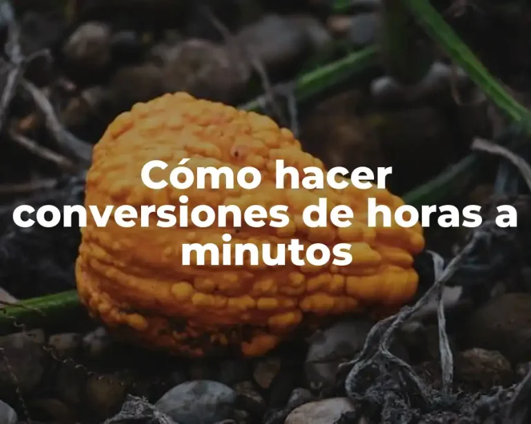 Cómo hacer conversiones de horas a minutos