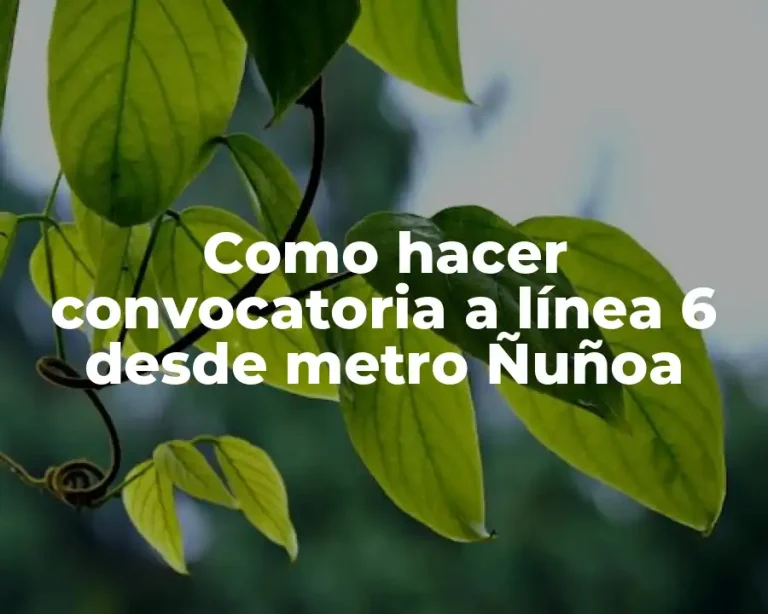 Como hacer convocatoria a línea 6 desde metro Ñuñoa