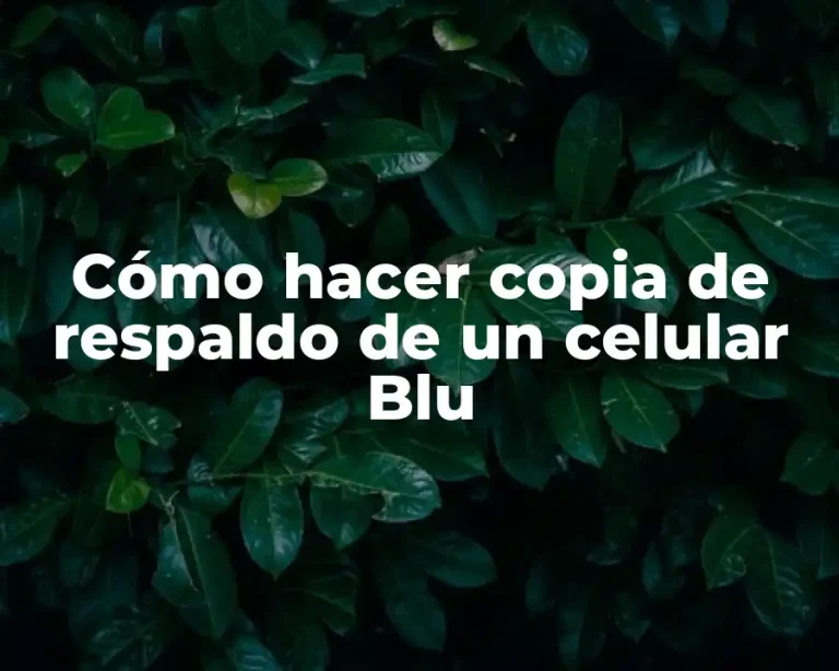 Cómo hacer copia de respaldo de un celular Blu