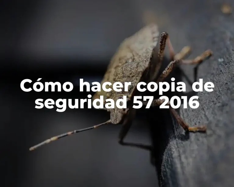 Cómo hacer copia de seguridad 57 2016