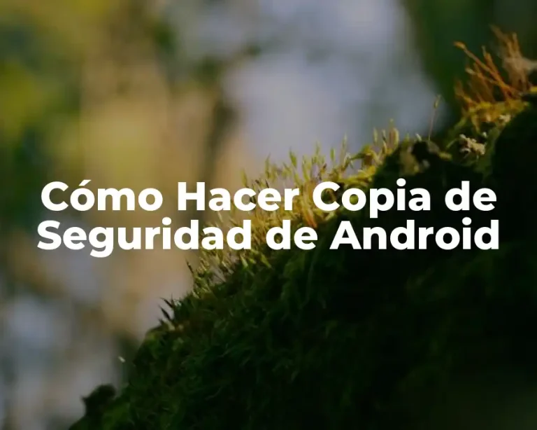 Cómo Hacer Copia de Seguridad de Android