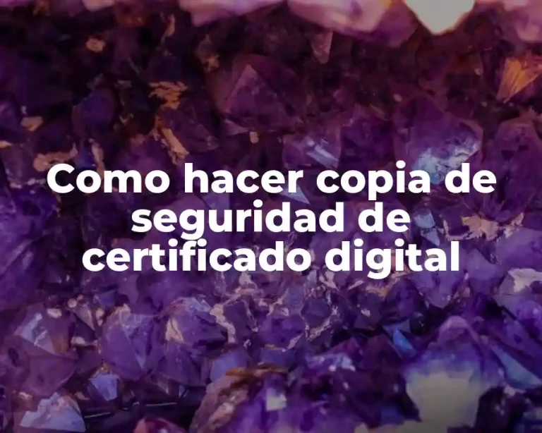 Como hacer copia de seguridad de certificado digital