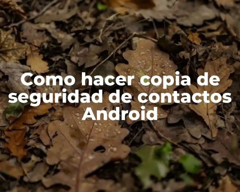 Como hacer copia de seguridad de contactos Android