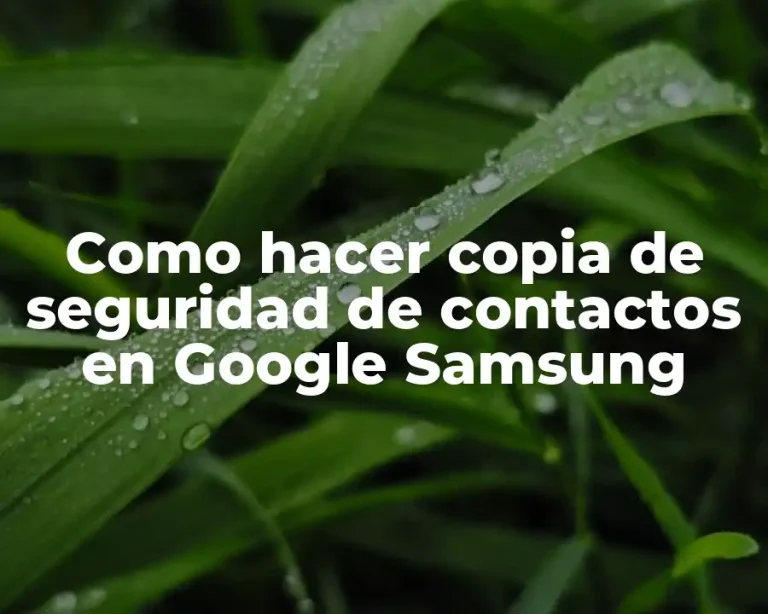 Como hacer copia de seguridad de contactos en Google Samsung