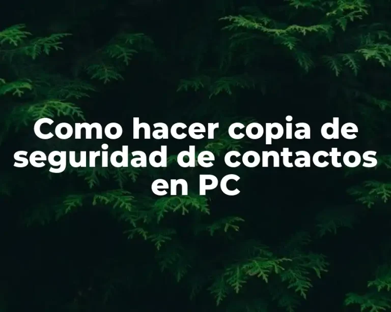 Como hacer copia de seguridad de contactos en PC