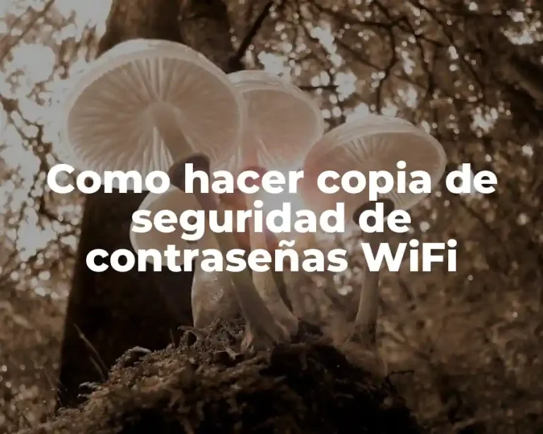 Como hacer copia de seguridad de contraseñas WiFi