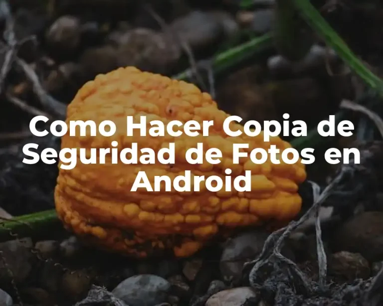 Como Hacer Copia de Seguridad de Fotos en Android