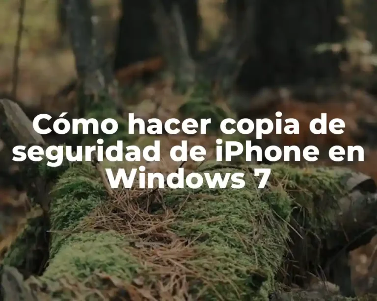 Cómo hacer copia de seguridad de iPhone en Windows 7