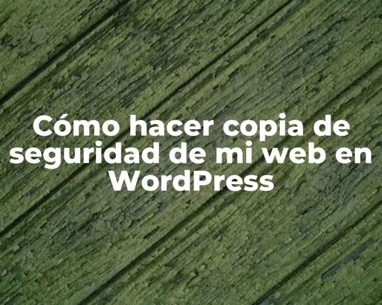 Cómo hacer copia de seguridad de mi web en WordPress