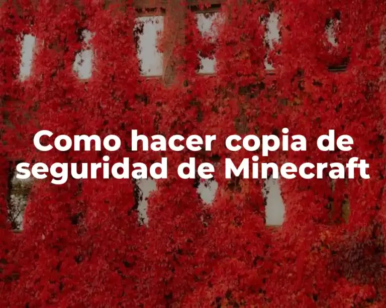 Como hacer copia de seguridad de Minecraft