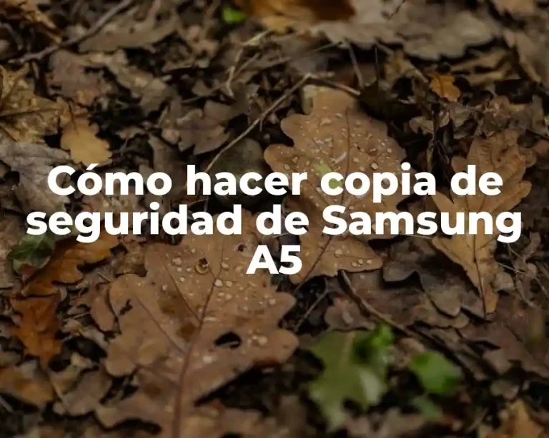 Cómo hacer copia de seguridad de Samsung A5