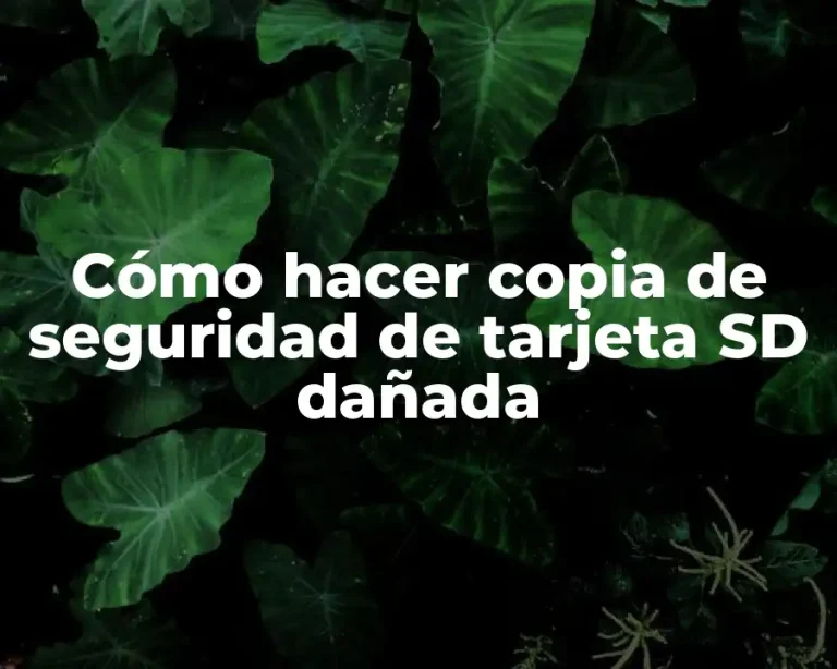 Cómo hacer copia de seguridad de tarjeta SD dañada