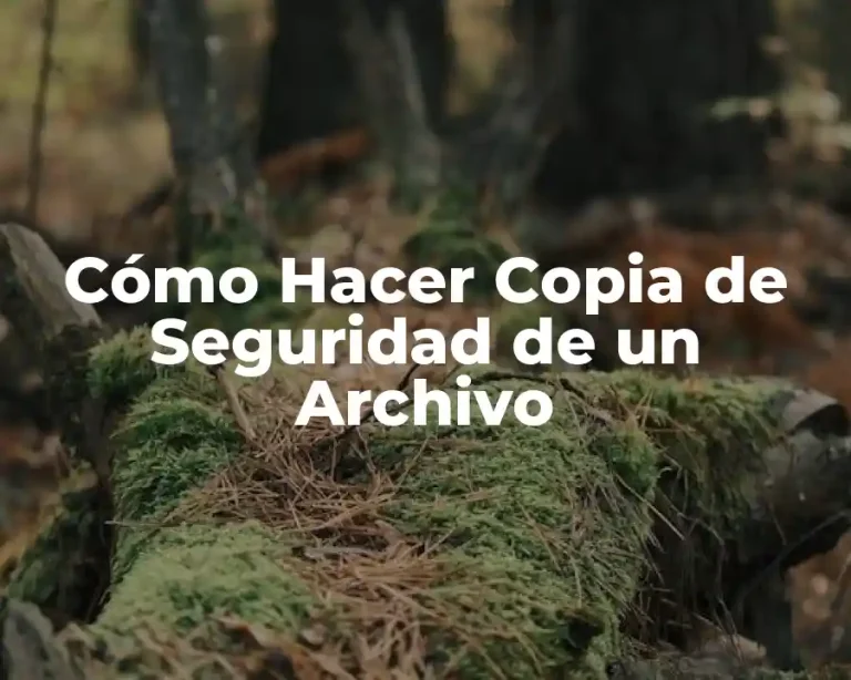 Cómo Hacer Copia de Seguridad de un Archivo