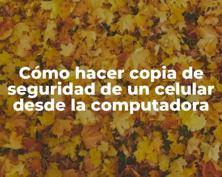 Cómo hacer copia de seguridad de un celular desde la computadora