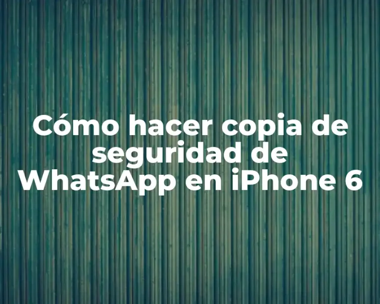 Cómo hacer copia de seguridad de WhatsApp en iPhone 6