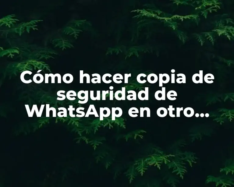 Cómo hacer copia de seguridad de WhatsApp en otro celular