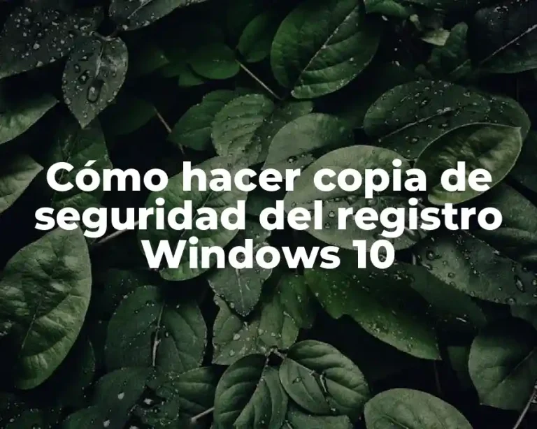 Cómo hacer copia de seguridad del registro Windows 10