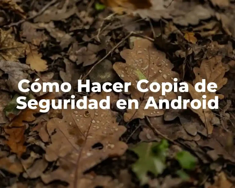 Cómo Hacer Copia de Seguridad en Android