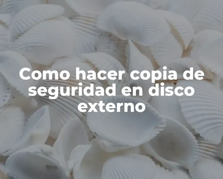 Como hacer copia de seguridad en disco externo