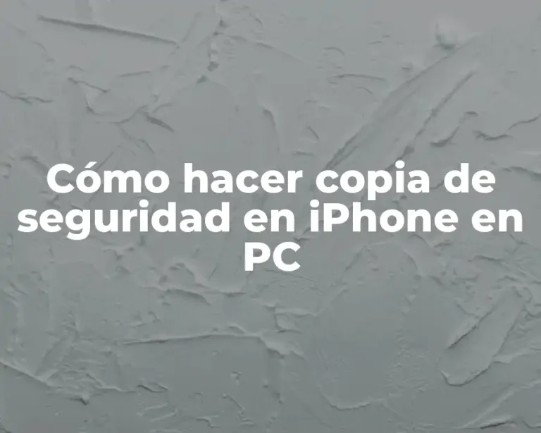 Cómo hacer copia de seguridad en iPhone en PC