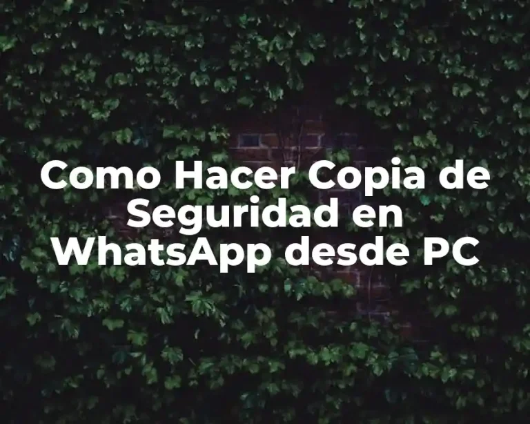 Como Hacer Copia de Seguridad en WhatsApp desde PC