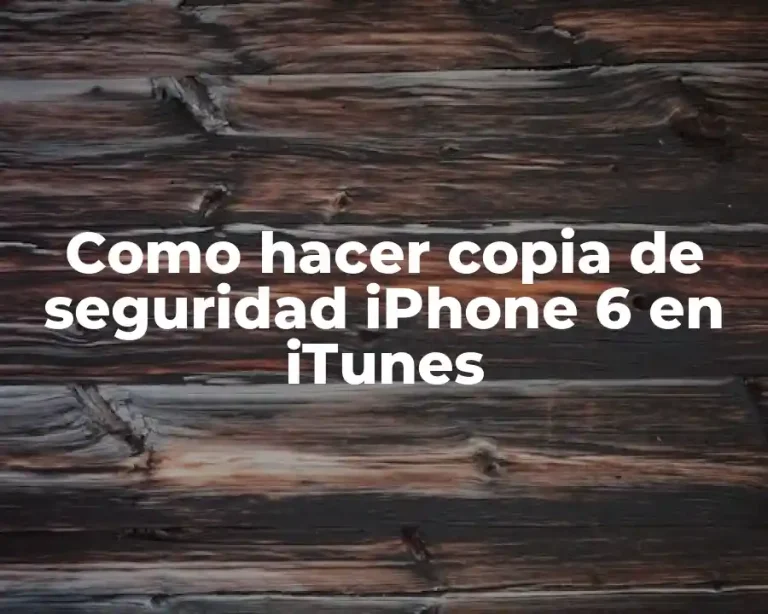 Como hacer copia de seguridad iPhone 6 en iTunes