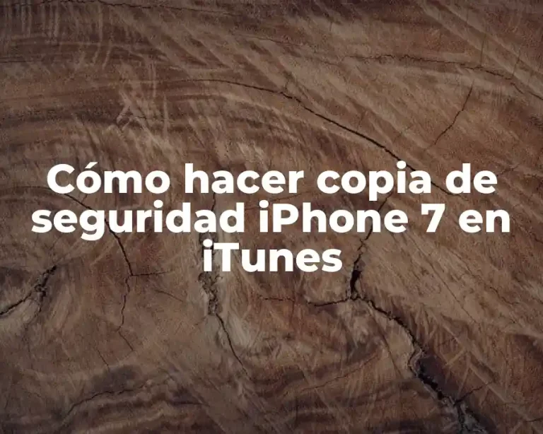 Cómo hacer copia de seguridad iPhone 7 en iTunes