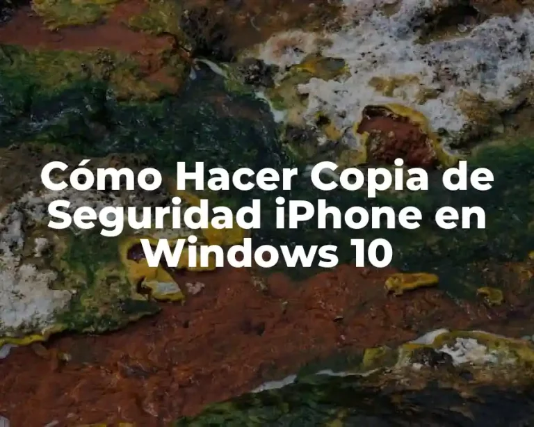 Cómo Hacer Copia de Seguridad iPhone en Windows 10
