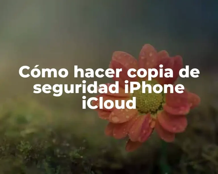 Cómo hacer copia de seguridad iPhone iCloud