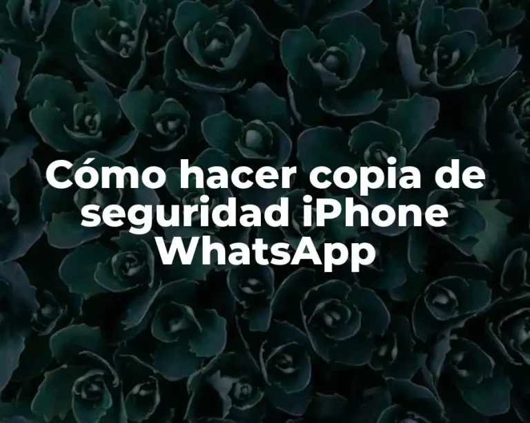 Cómo hacer copia de seguridad iPhone WhatsApp