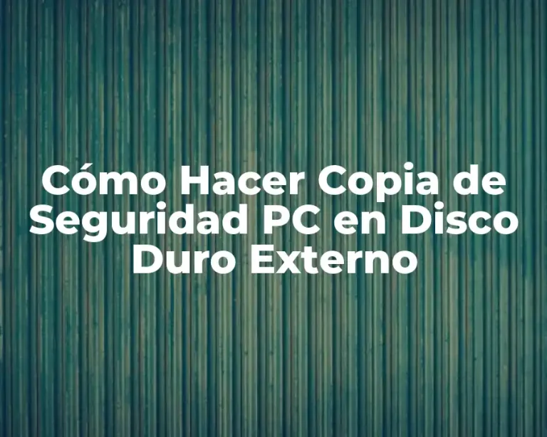 Cómo Hacer Copia de Seguridad PC en Disco Duro Externo