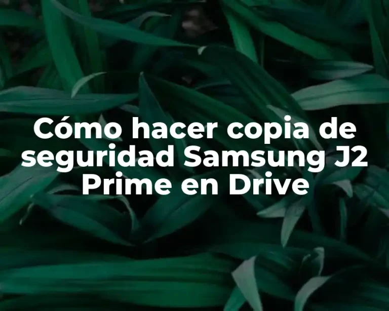 Cómo hacer copia de seguridad Samsung J2 Prime en Drive