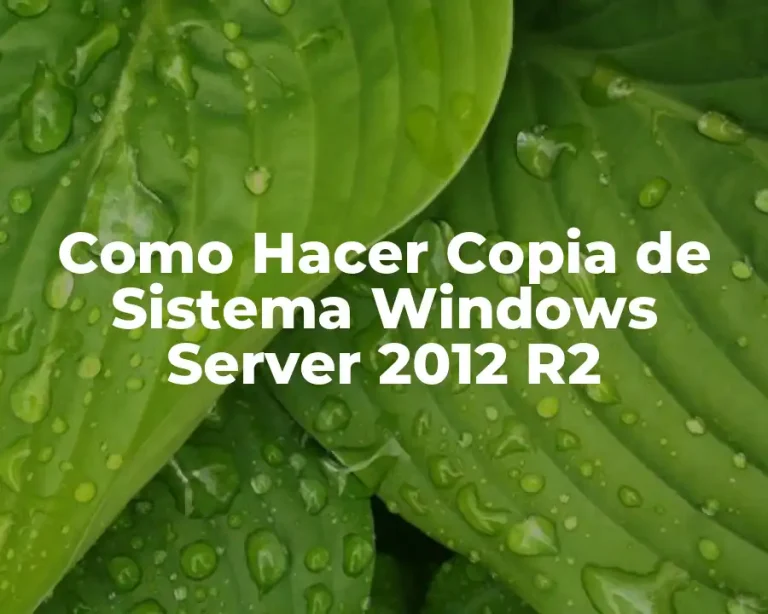 Como Hacer Copia de Sistema Windows Server 2012 R2