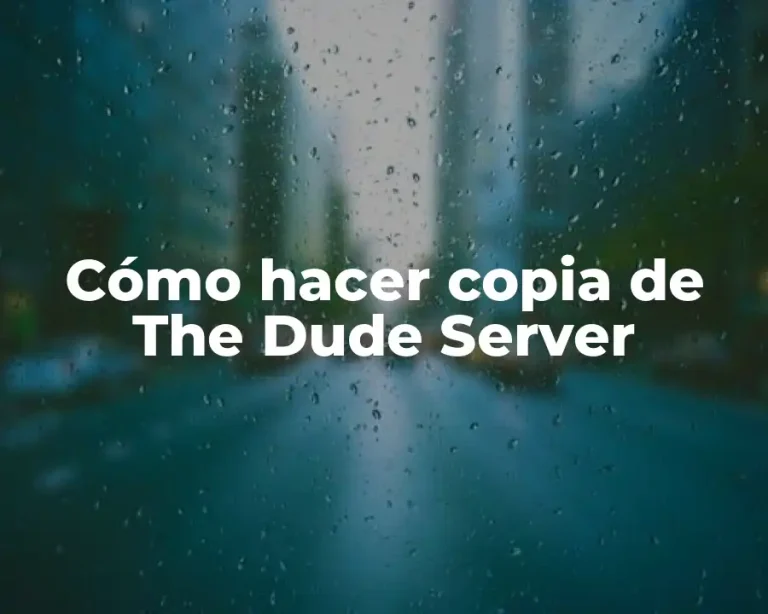 Cómo hacer copia de The Dude Server