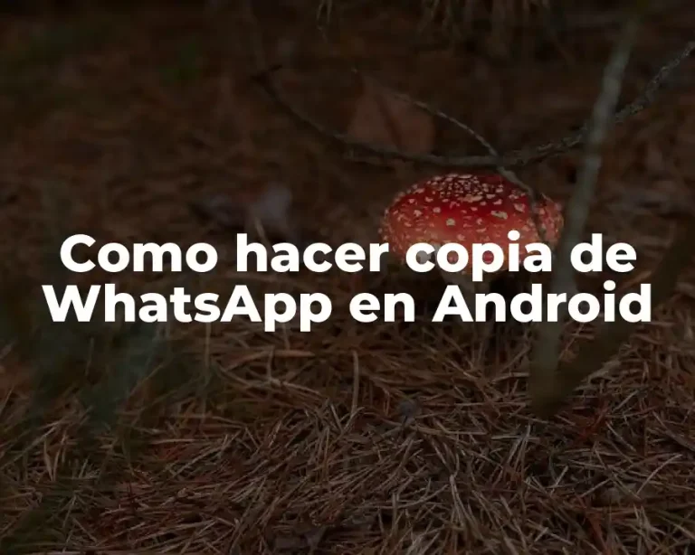 Como hacer copia de WhatsApp en Android