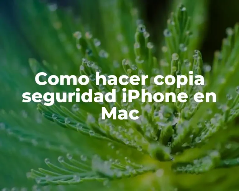 Como hacer copia seguridad iPhone en Mac