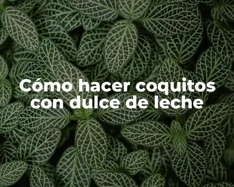 Cómo hacer coquitos con dulce de leche
