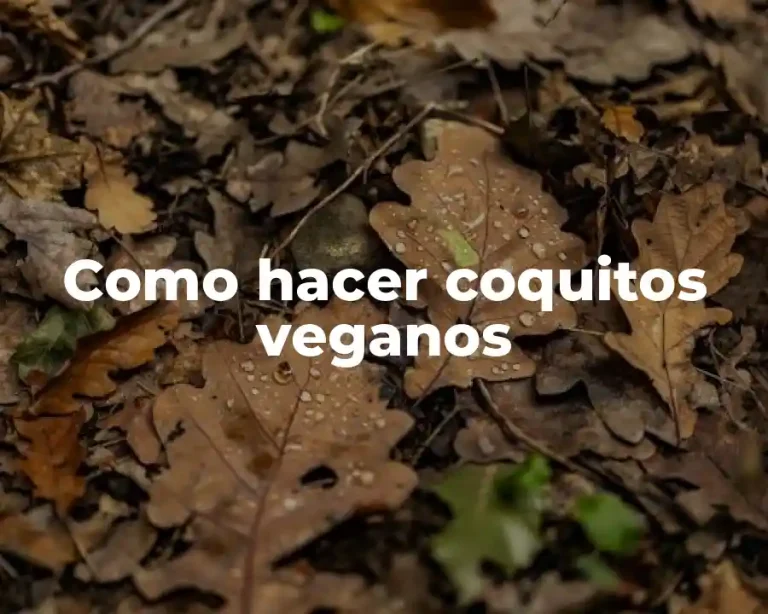 Como hacer coquitos veganos