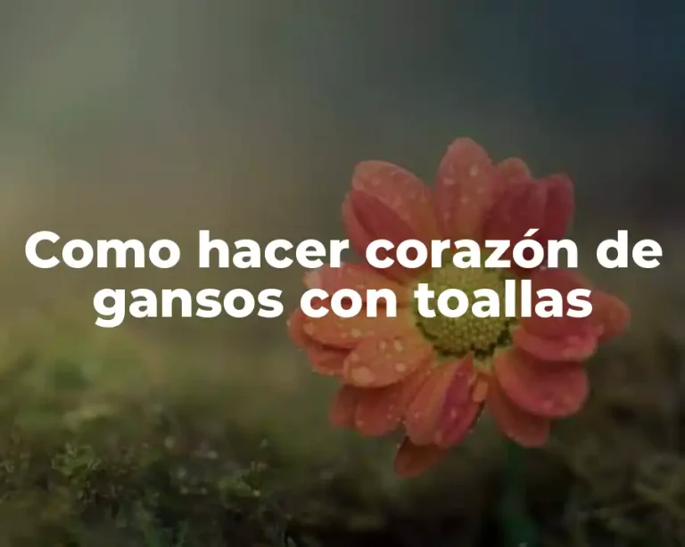 Como hacer corazón de gansos con toallas