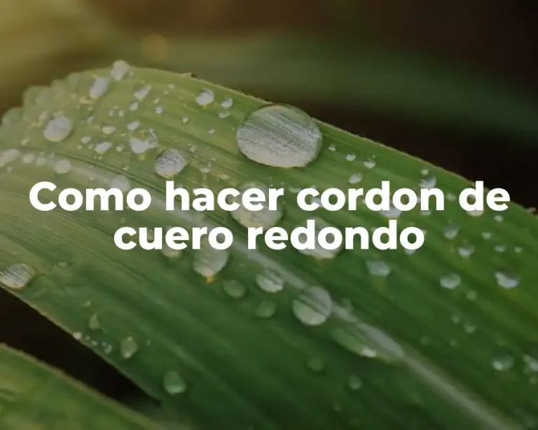 Como hacer cordon de cuero redondo