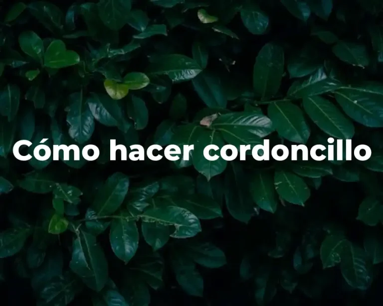 Cómo hacer cordoncillo