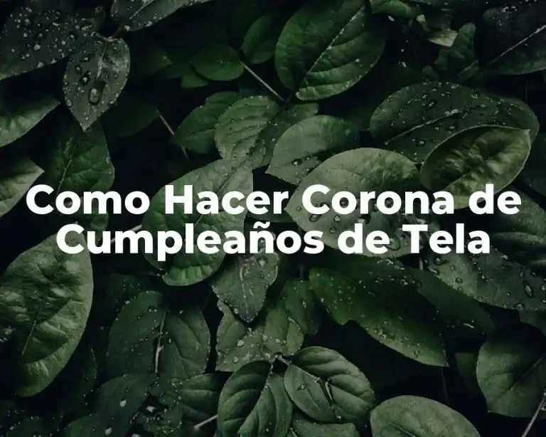 Como Hacer Corona de Cumpleaños de Tela