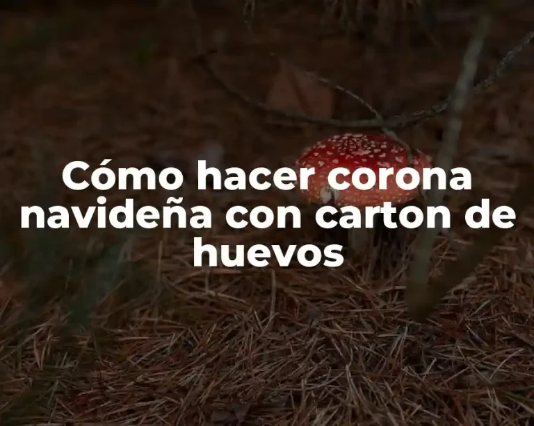 Cómo hacer corona navideña con carton de huevos