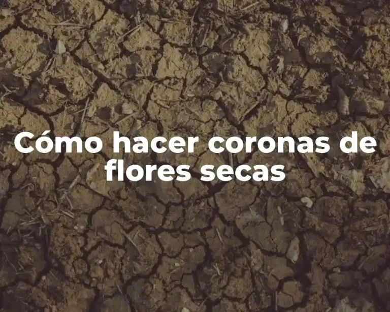 Cómo hacer coronas de flores secas