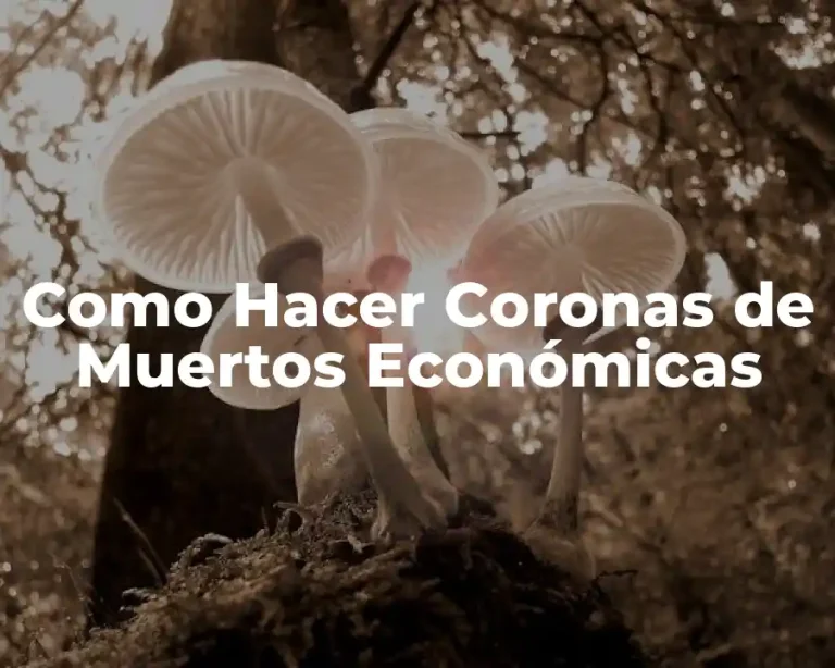 Como Hacer Coronas de Muertos Económicas