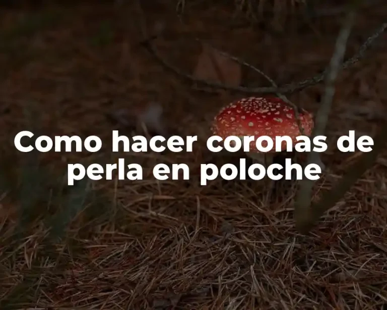 Como hacer coronas de perla en poloche