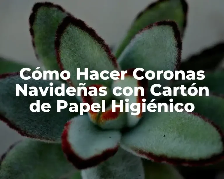 Cómo Hacer Coronas Navideñas con Cartón de Papel Higiénico
