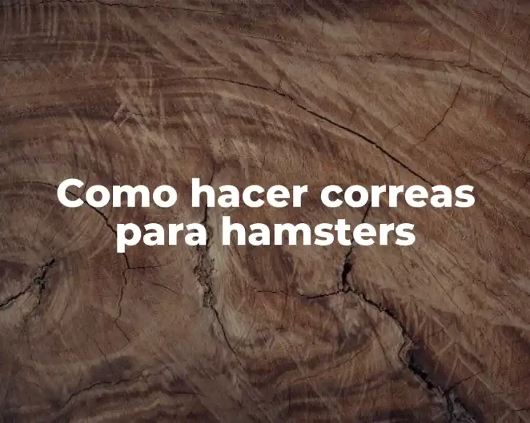 Como hacer correas para hamsters