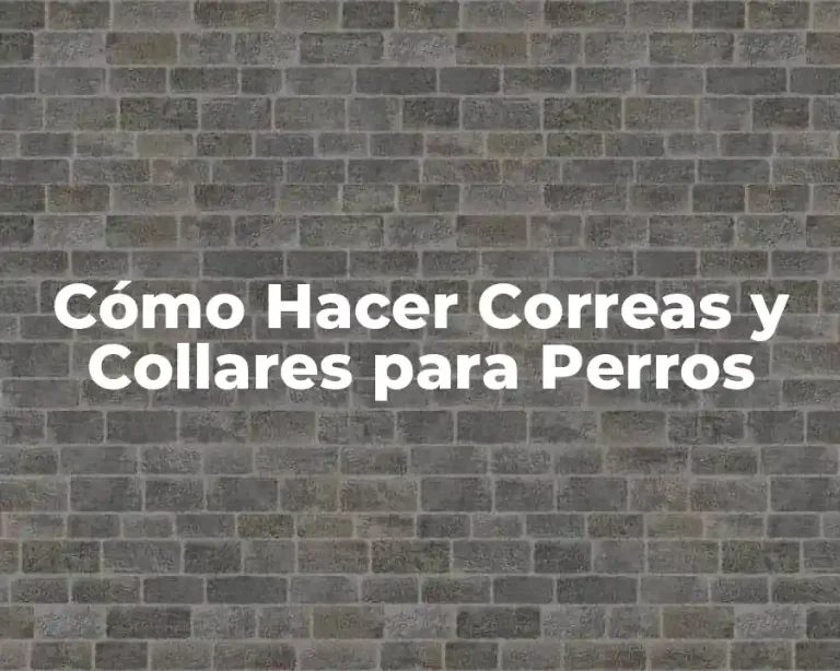 Cómo Hacer Correas y Collares para Perros